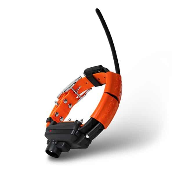 Dogtrace GPS X25-TB – Image 2