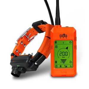 Dogtrace GPS X25-TB