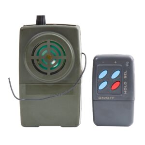 LECTEUR DIGITAL LONG 50 CHANTS +TELECOMMANDE