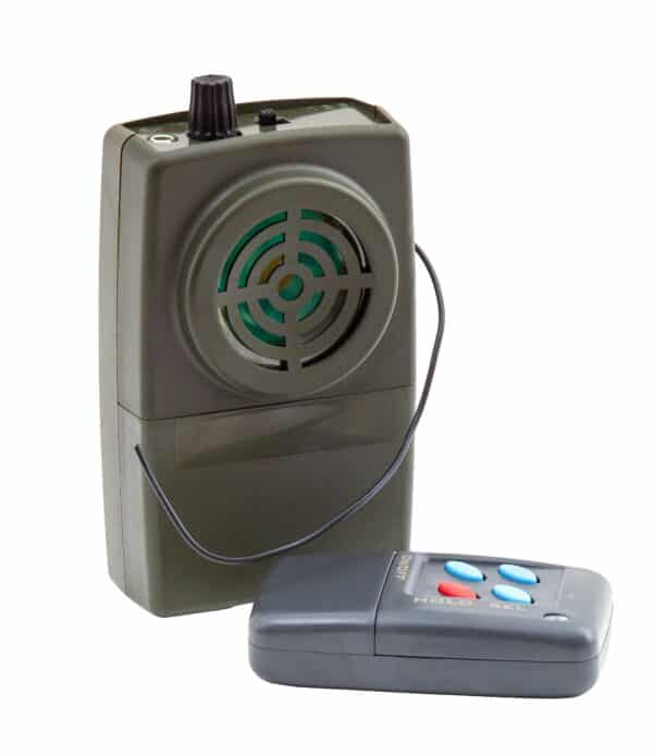 LECTEUR DIGITAL LONG 50 CHANTS +TELECOMMANDE – Image 2