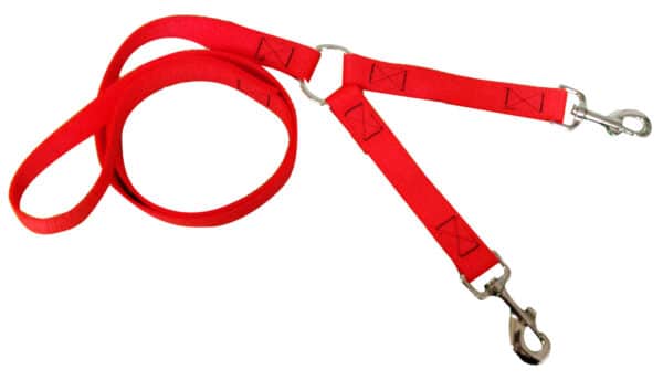 LAISSE POLYPROPYLENE EN 120 + COUPLEUR ORANGE – Image 2