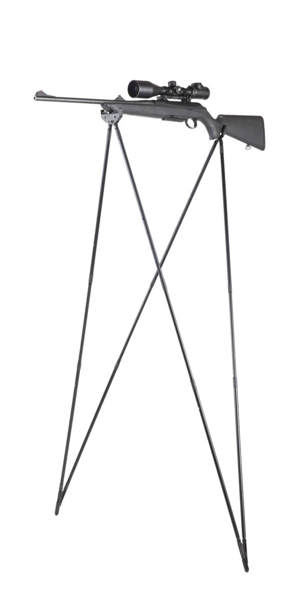 CANNE BUSH LIGHT